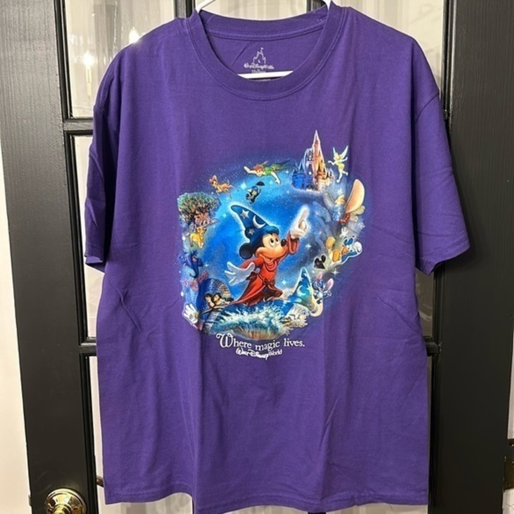 Walt Disney world tee Hanes